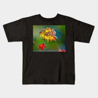 Autumn Colour Kids T-Shirt